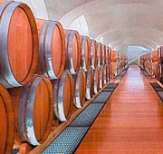 Wines of Irpinia