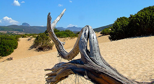 Sardinian sand castles