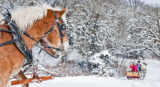 Skates, sledges and sleighs